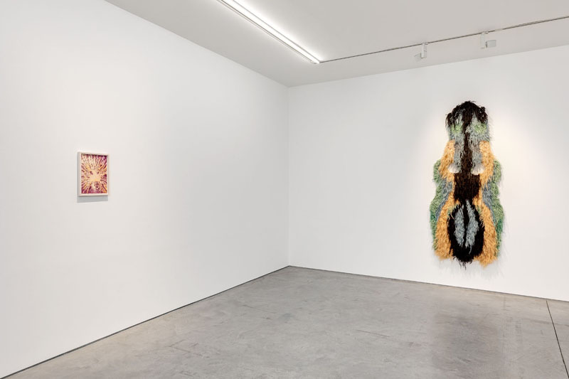 Caroline Achaintre-0767 - Exposition - WEB