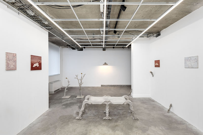 Double Séjour - Début d_hiver-9424 - HD