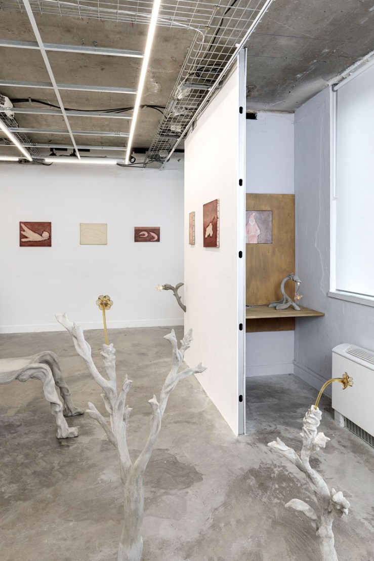 Double Séjour - Début d_hiver-9656 - HD