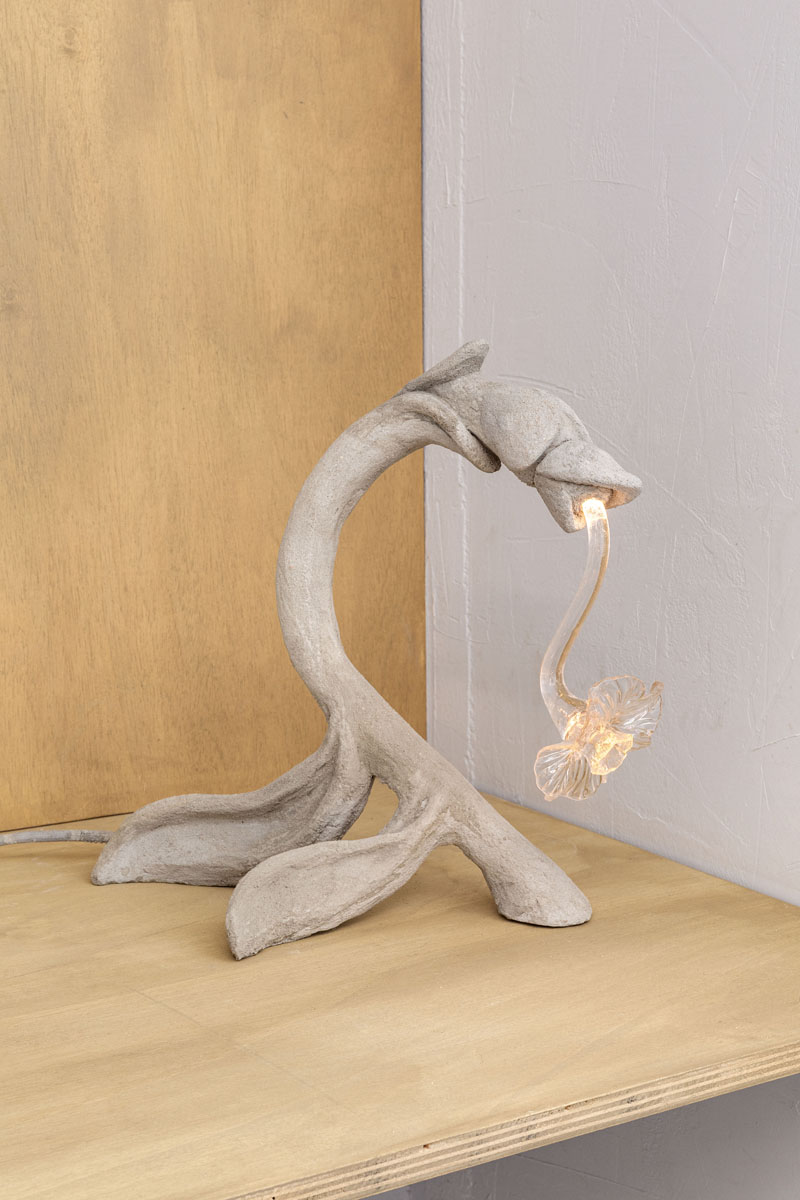 Double Séjour - Début d_hiver-9816 - HD