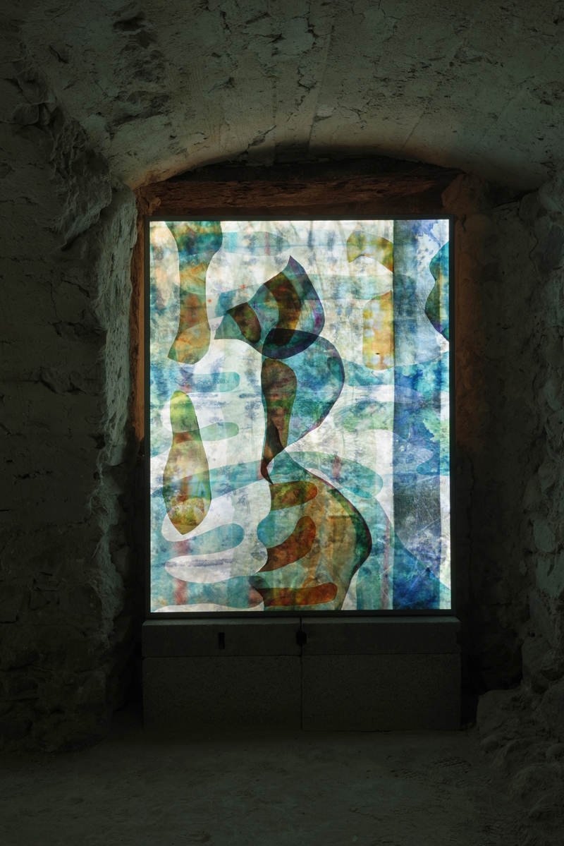 Caca bleu véritable - Cave (7)