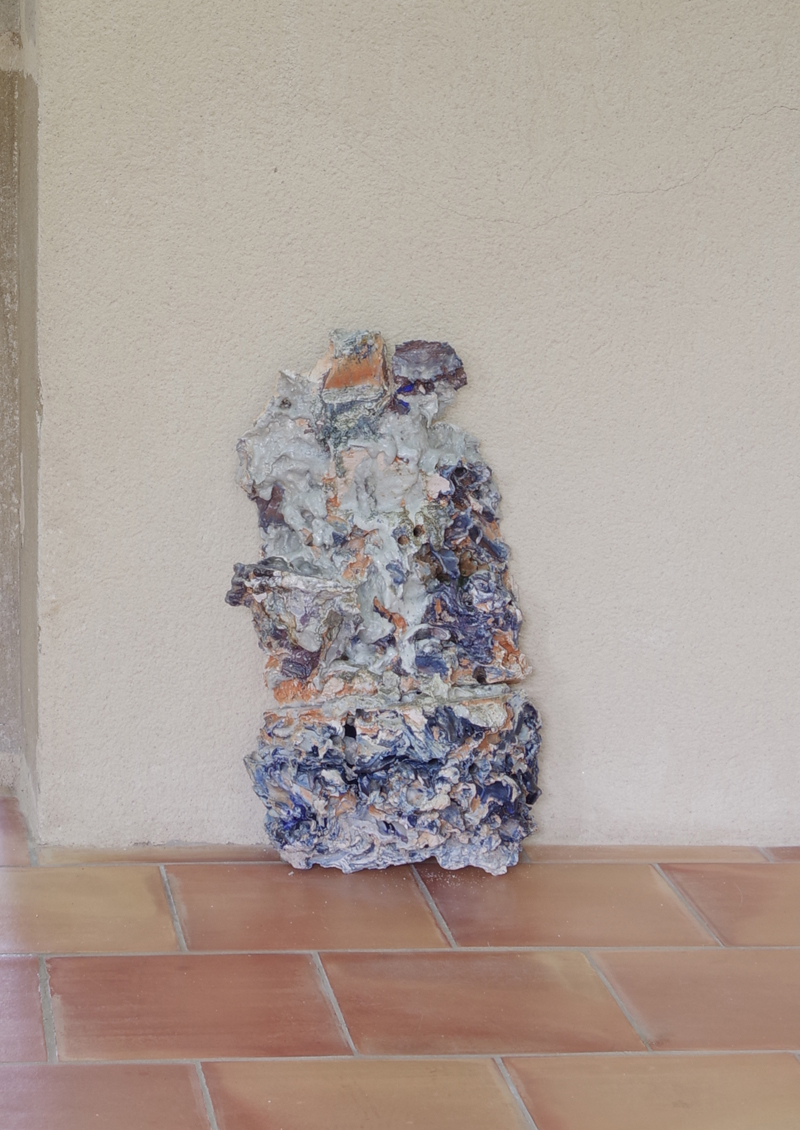 Caca bleu véritable - Salle parc (10)