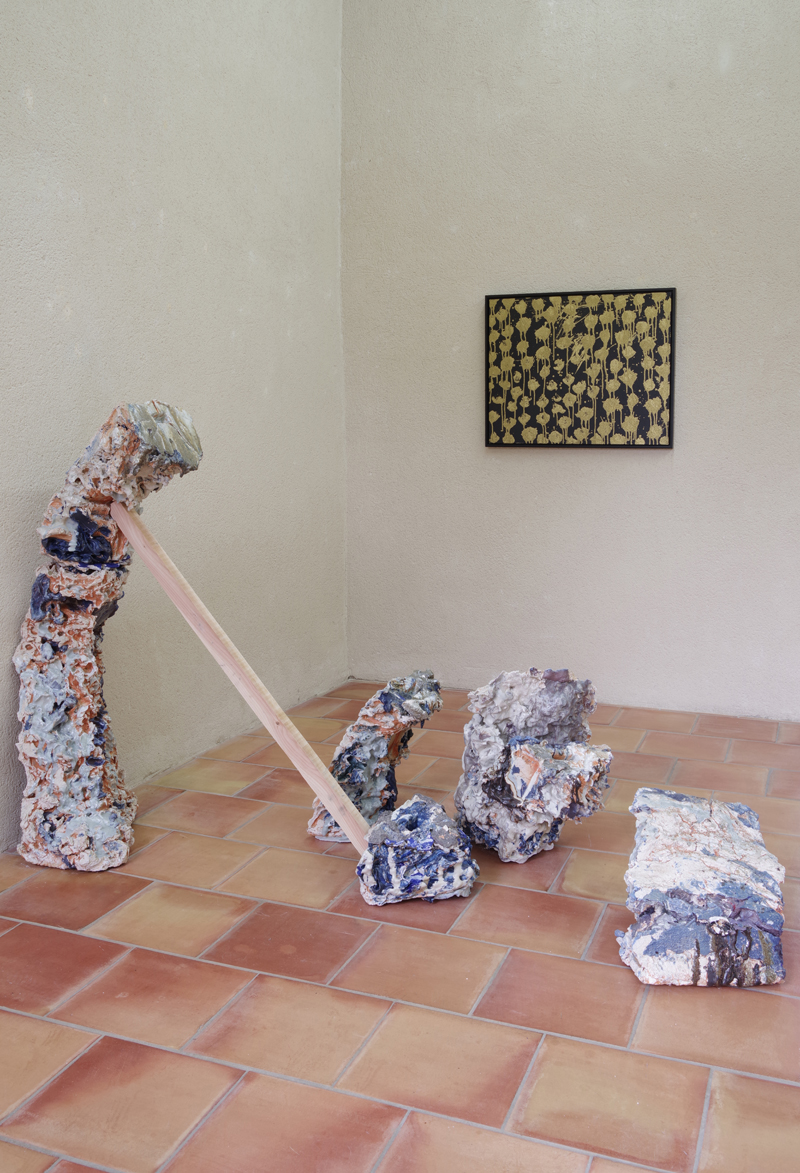 Caca bleu véritable - Salle parc (2)