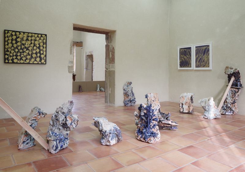 Caca bleu véritable - Salle parc (4)