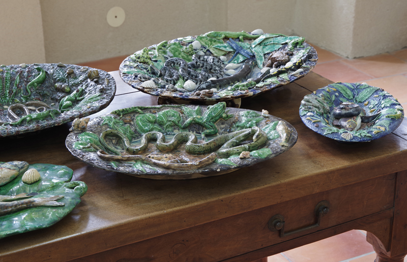 Caca bleu véritable - Salle Rhône (2)