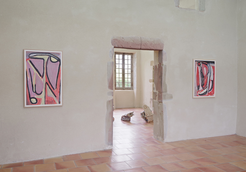 Caca bleu véritable - Salle Rhône (3)