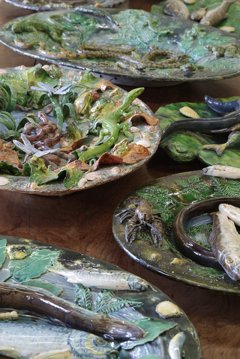 Caca bleu véritable - Salle Rhône (5)