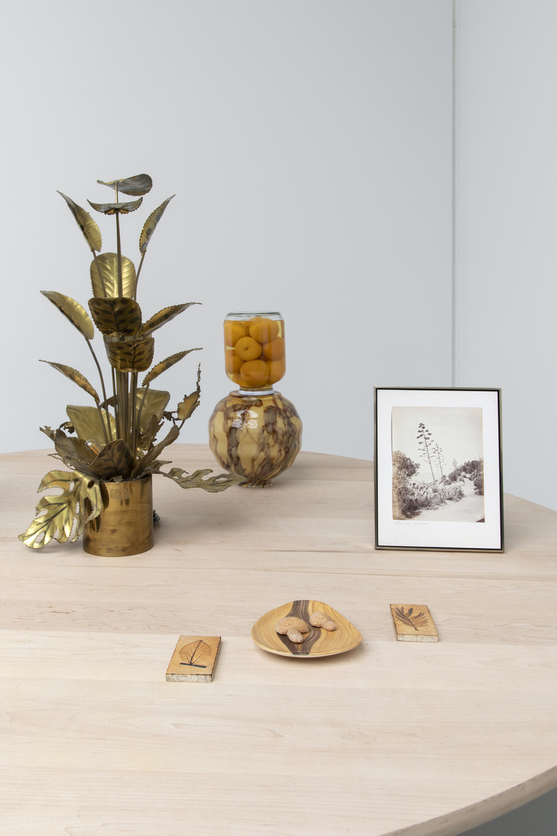 Koenraad Dedobbeleer_11