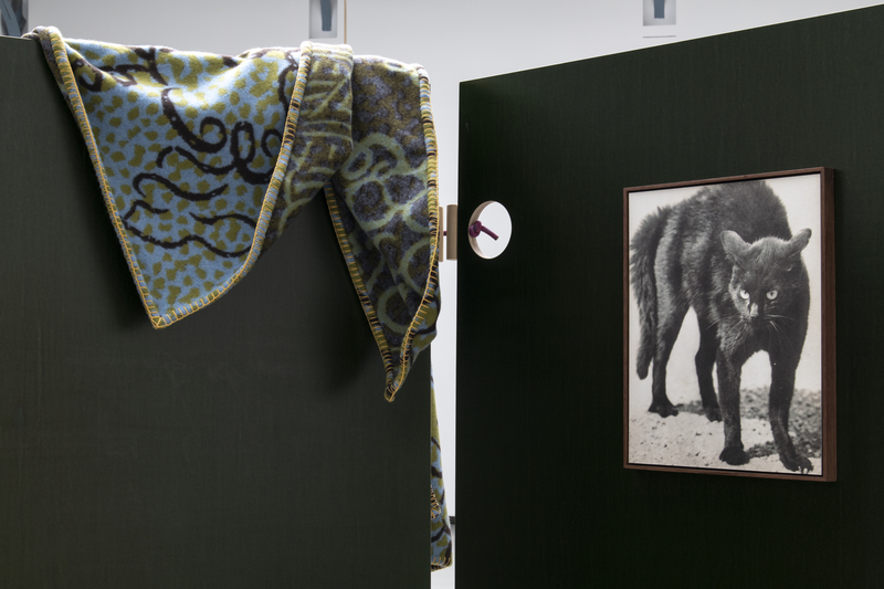 Koenraad Dedobbeleer_16