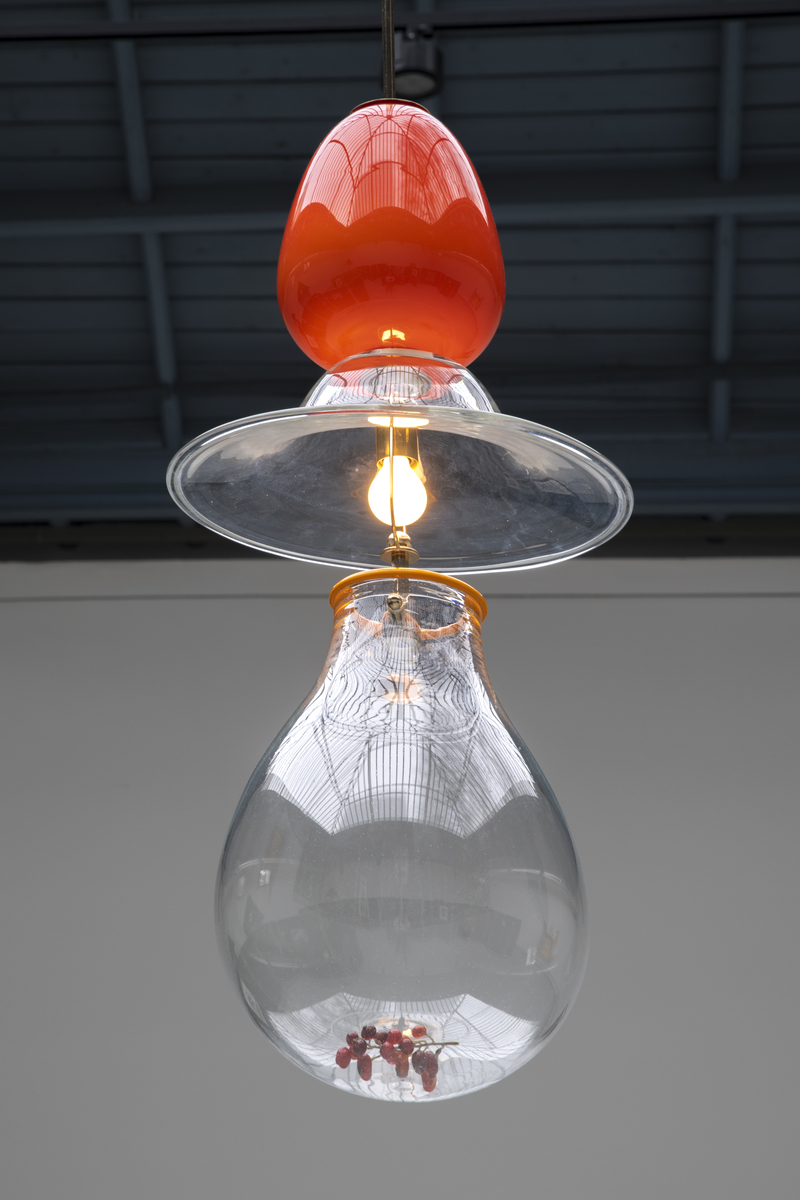 Koenraad Dedobbeleer_26