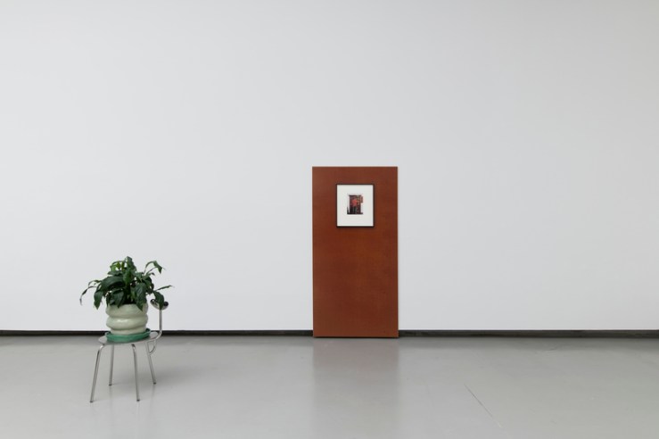 Koenraad Dedobbeleer_4